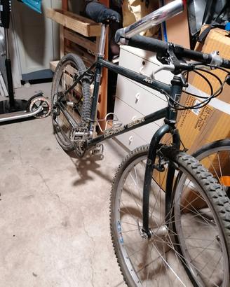 MTB DiamondBack Apex