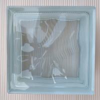 Vetro mattone bianco 19x19