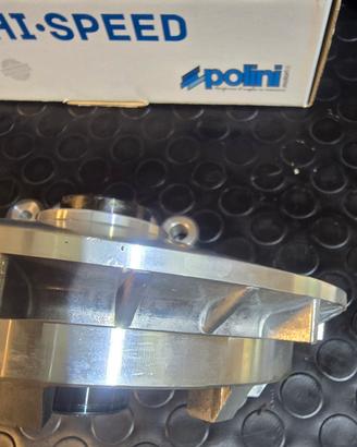 Variatore polini 12 rulli tmax