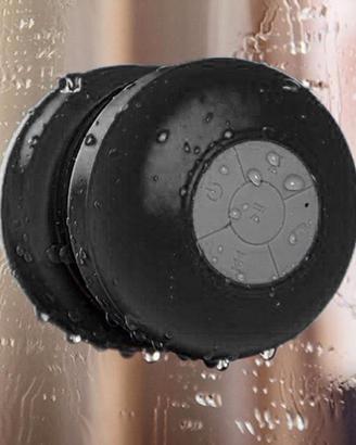 SHOWER SPEAKER