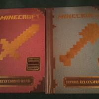 Set due manuali Minecraft