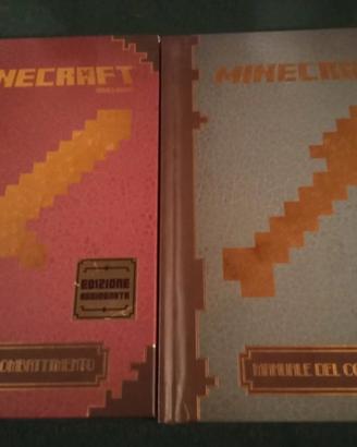 Set due manuali Minecraft