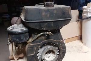 Motore Lombardini a Benzina