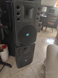 Casse Attive RCF art 300 A