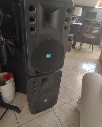 Casse Attive RCF art 300 A