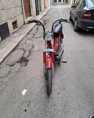Boxer piaggio