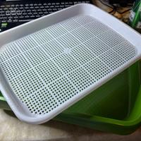 Lotto 9 Vaschette per Semina o Microgreen x Orto