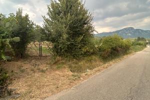 Terreno Panoramico