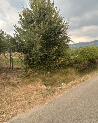 Terreno Panoramico