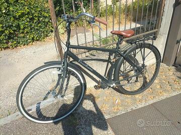 Bicicletta Versiliana