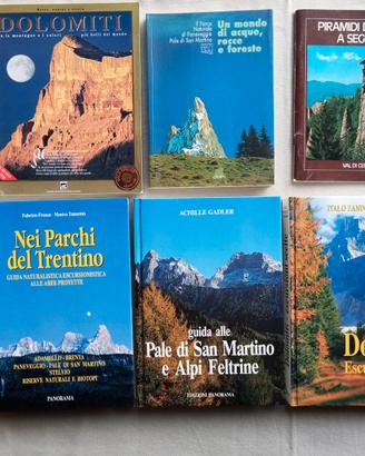 Lotto 14 libri Dolomiti e Trentino