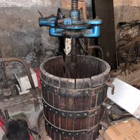 TORCHIO