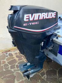Evinrude e-tec 30