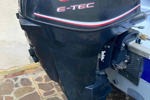 Evinrude e-tec 30