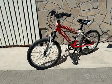Bici 20 pollici