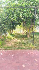 Appartamento e giardino in villa vicino università