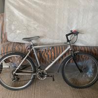 Bicicletta da uomo 26 pollici con cambio a levetta