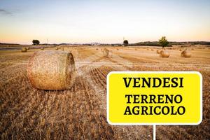 Terreno Agricolo - Castropignano