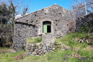 Palmento Etna Sant'Alfio Castagno dei Cento Cavall