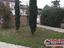 Immagine 28