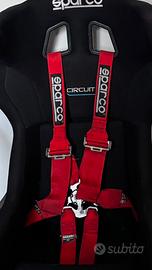 cinture sparco 5 punti