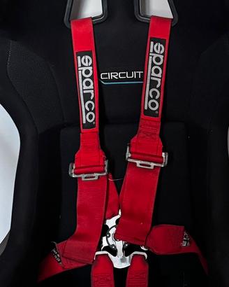 cinture sparco 5 punti