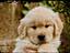Immagine 10