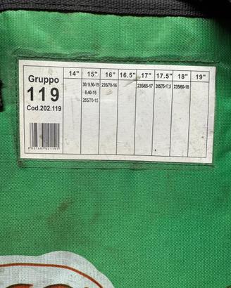 Catene auto gruppo 119