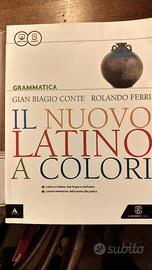 Libro NUOVO LATINO A COLORI (IL) GRAMMATICA
