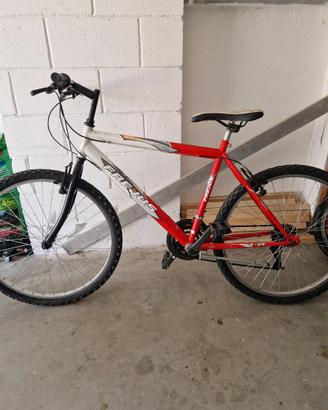 Bicicletta