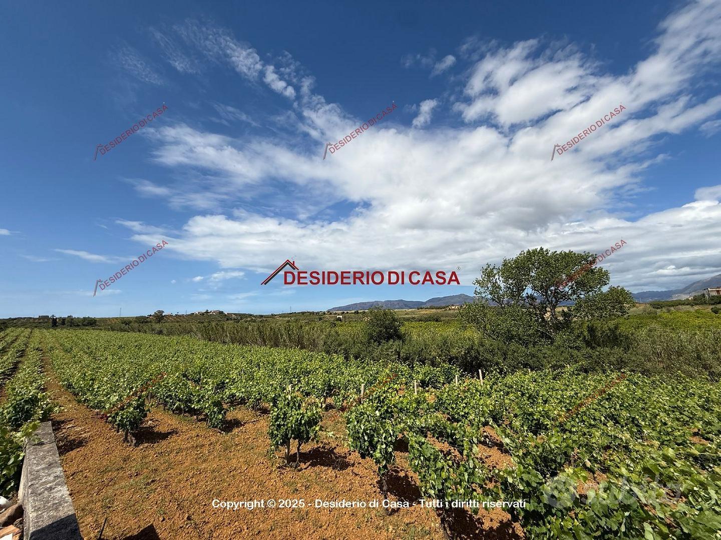 Terreno, Partinico. - Vista 4