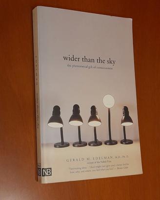 Wider than the Sky: The Phenomenal Gift of Conscio