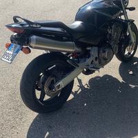 Honda hornet 919