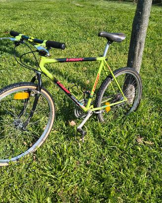 bici mtb 26 moser