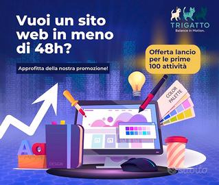 Sito web professionale in meno di 48h