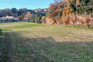 Lotto edificabile e terreno agricolo adiacente