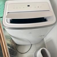 Condizionatore Electrolux