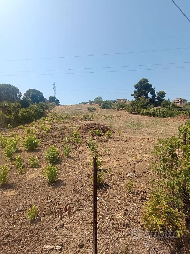 Terreno agricolo edificabile Ter/73 - Vista 4