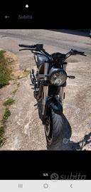 benelli leoncino 