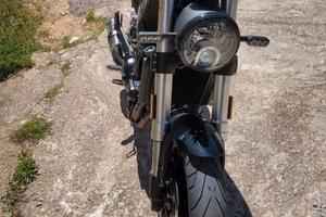 benelli leoncino 