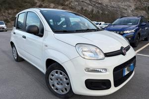 Fiat Panda 1.2 - NEOPATENTATI