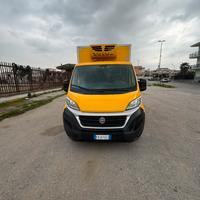 Fiat ducato 2.3 multijet anno 2019