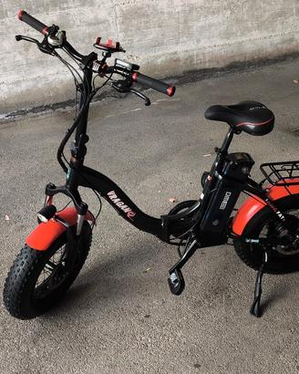 bici elettrica