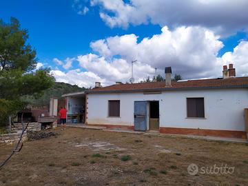 Terreno,uliveto,casa pedegarganica-matine