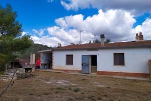 Terreno,uliveto,casa pedegarganica-matine