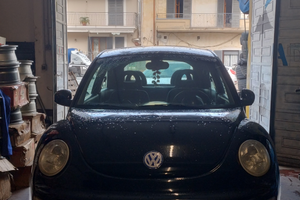 New beetle