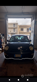 New beetle