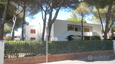App.to 3 camere-giardino-p. auto a 150 m mare