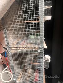 Gabbia tipo voliera