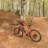 WHISTLE E-BIKE MTB elettrica B-race A7.1 Bosch cx